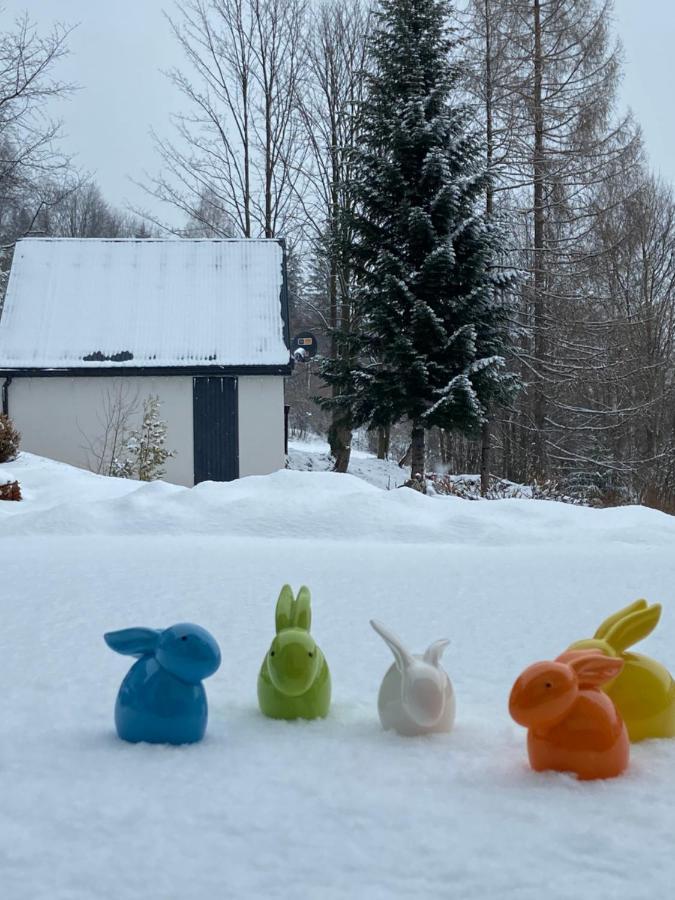 Cerla Korbielow - Domek Dla Dwojga ภายนอก รูปภาพ